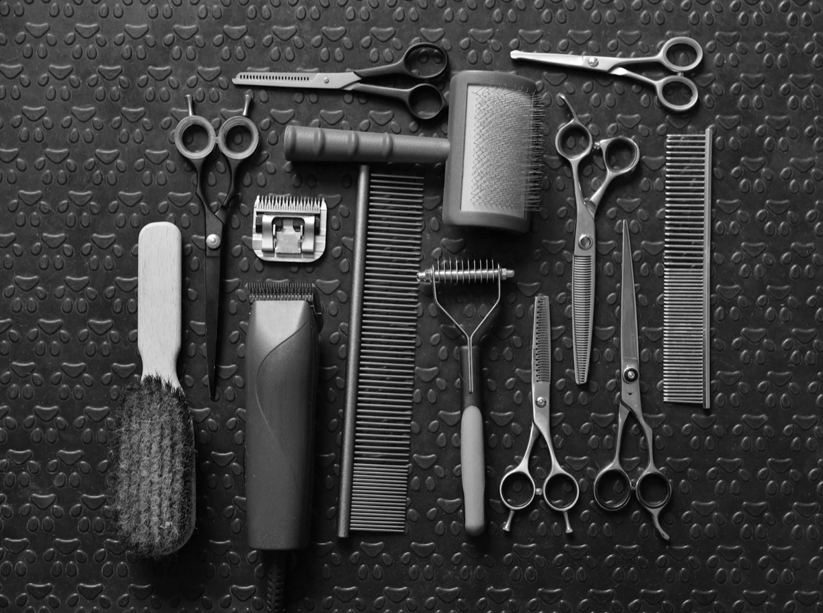 Dog grooming scissors, thinners, clippers and combs